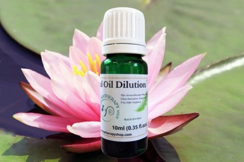 Pink Lotus Essential Oil Dilution