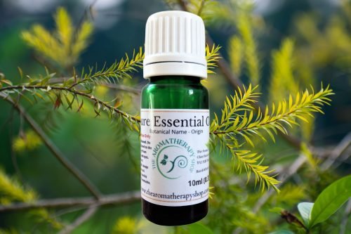 Tea Tree Pure Essential Oil
