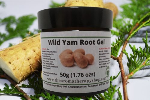 Wild Yam Gel / A natural skin care gel with organic wild yam root and aloe extracts