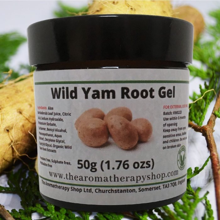 Wild Yam Gel / A natural skin care gel with organic wild yam root and aloe extracts