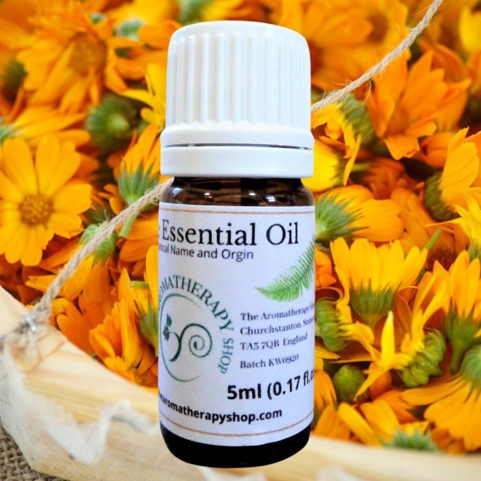 Calendula Pure Essential Oil / Marigold