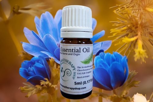Blue Anemone Essential Oil / Origin Turkey