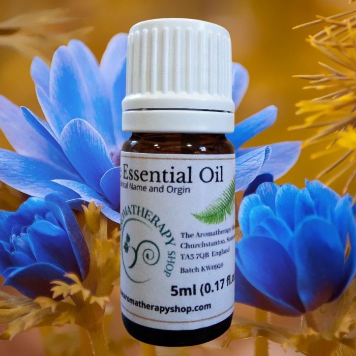 Blue Anemone Essential Oil / Origin Turkey