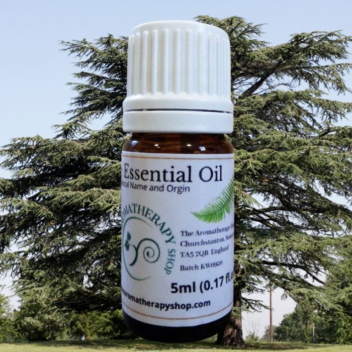 Cedar of Lebanon Pure Essential Oil
