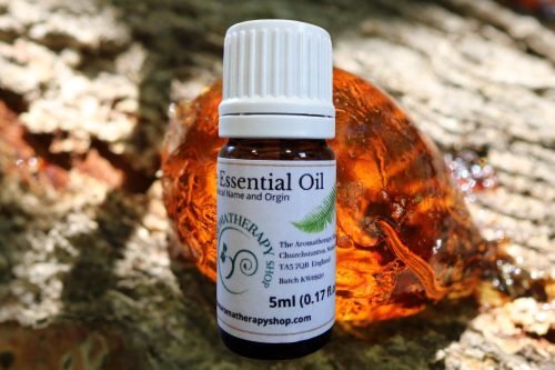 Amber Resin Oil (Origin: Northern India) - woody, smoky and leathery