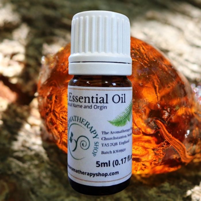 Amber Resin Oil (Origin: Northern India) - woody, smoky and leathery