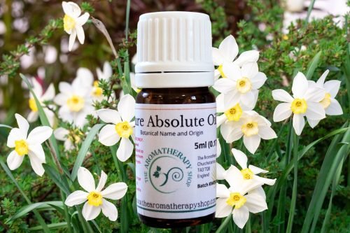 Narcissus Pure Absolute Oil / Nargis Flowers (Origin: Northern India)