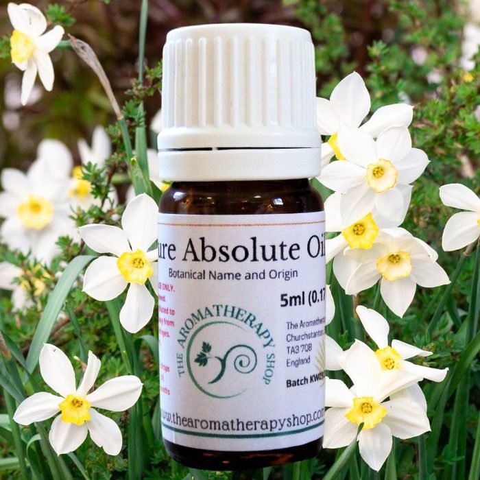 Narcissus Pure Absolute Oil / Nargis Flowers (Origin: Northern India)