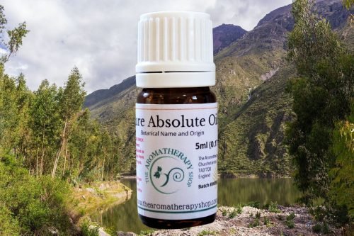 Peru Balsam Absolute Oil (Origin: France)