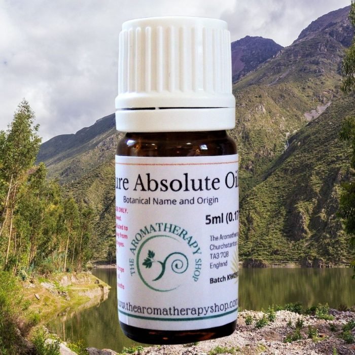 Peru Balsam Absolute Oil (Origin: France)