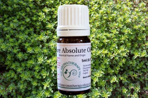 Thyme Absolute Oil (Origin: France)