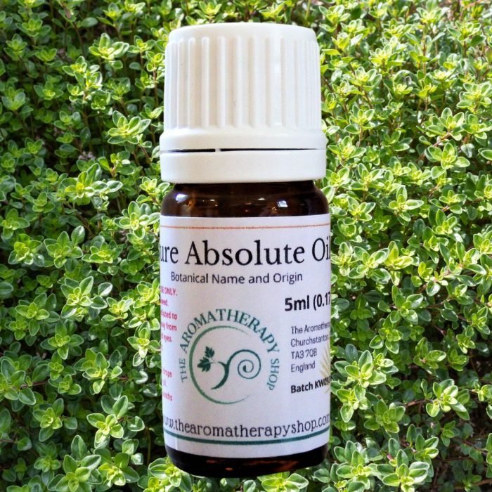 Thyme Absolute Oil (Origin: France)