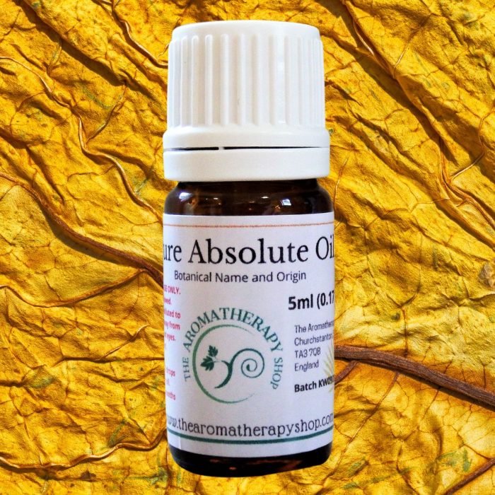 Tobacco Absolute Oil (Origin: Northern India)
