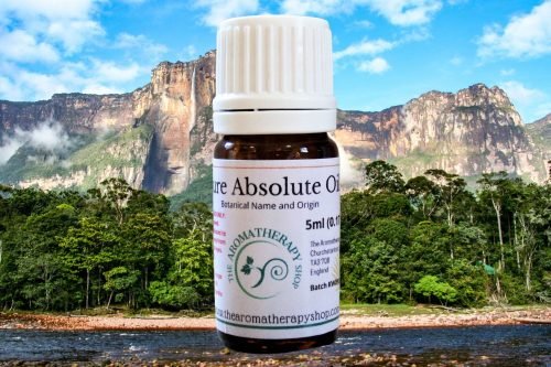 Tolu Balsam Absolute Oil (Origin: France)