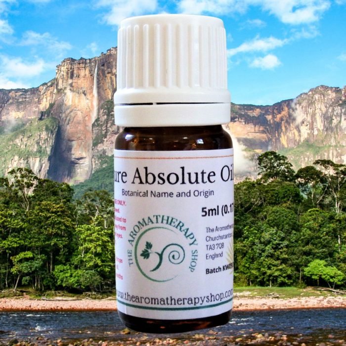 Tolu Balsam Absolute Oil (Origin: France)