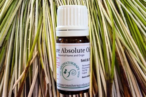 Vetiver Absolute Oil / USDA Certified Organic (Origin: Northern India)