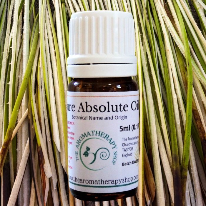 Vetiver Absolute Oil (Origin: Northern India)