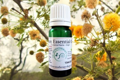 Cassie Flower Pure Essential Oil (Sweet Acacia) - Origin: France