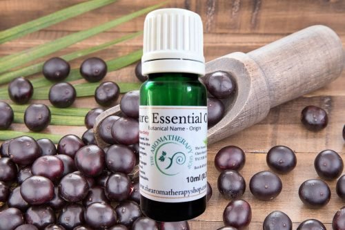 Acai Palm Tree Pure Essential Oil (Origin: Brazil) Fruity Aroma!