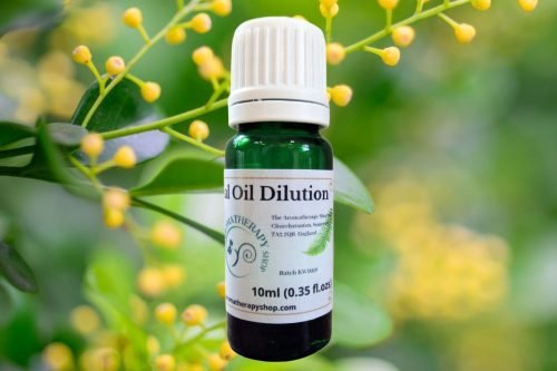 Aglaia Essential Oil Dilution (Origin: Thailand)