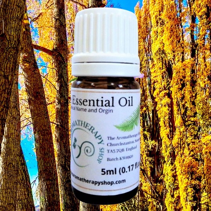 Balsam Poplar Pure Essential Oil (Origin: Canada)
