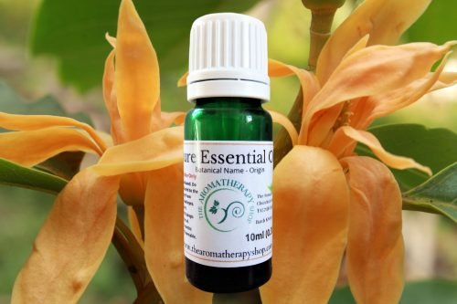 Champaca Pure Essential Oil / USDA Certified Organic (Origin: India)