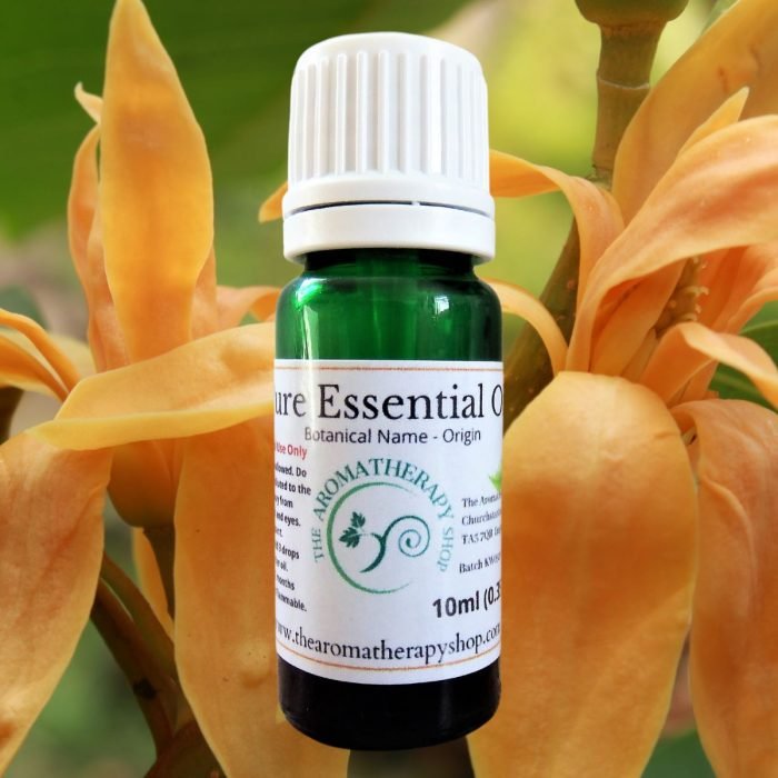 Champaca Pure Essential Oil / USDA Certified Organic (Origin: India)