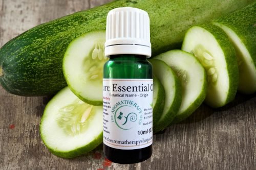 Cucumber Seed Pure Essential Oil (Origin: India)