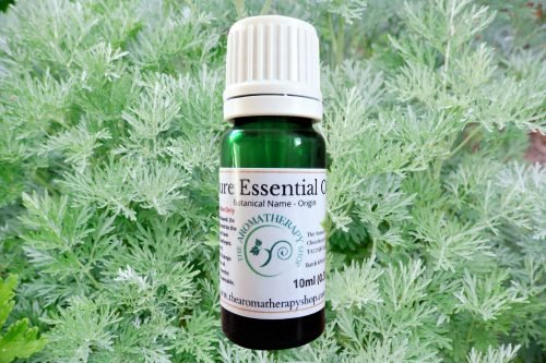 Davana Pure Essential Oil / Organic (Origin: India)