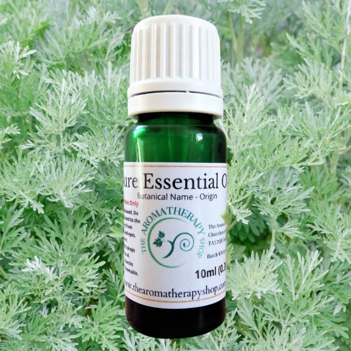 Davana Pure Essential Oil / Organic (Origin: India)