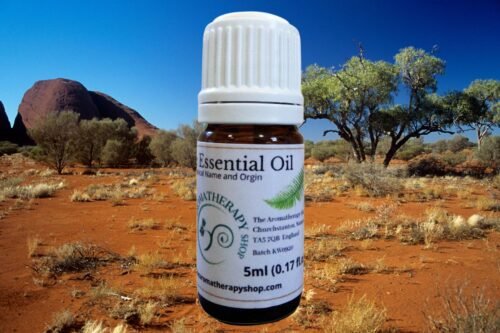 Desert Rosewood Pure Essential Oil / Rare (Origin: Australia)