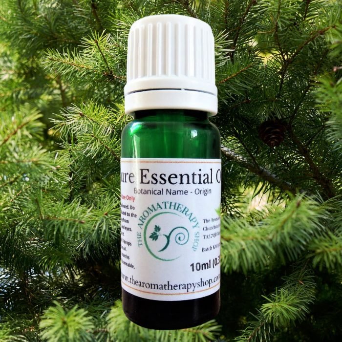 Douglas Fir Pure Essential Oil (Origin: Canada)