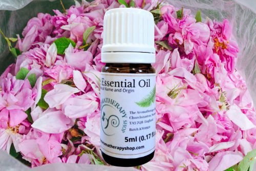 Egyptian Rose Pure Essential Oil