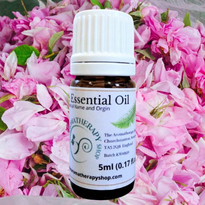 Egyptian Rose Pure Essential Oil