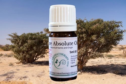 Olibanum Absolute / Somalian Frankincense