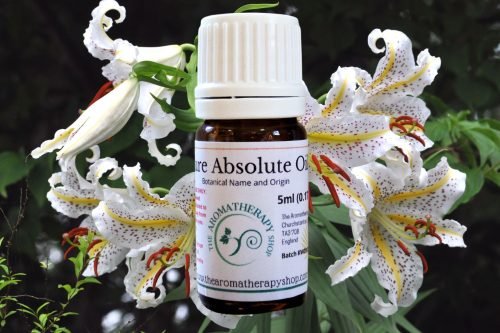 Perfumers Lily Absolute Oil (Origin: India)