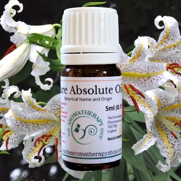Perfumers Lily Absolute Oil (Origin: India)