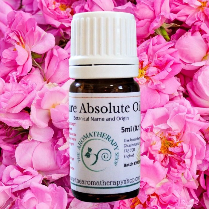Rose Damask Absolute Oil / Sweet and Floral