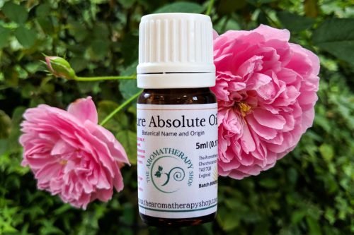 Rose Maroc Absolute Oil / Deeply Floral