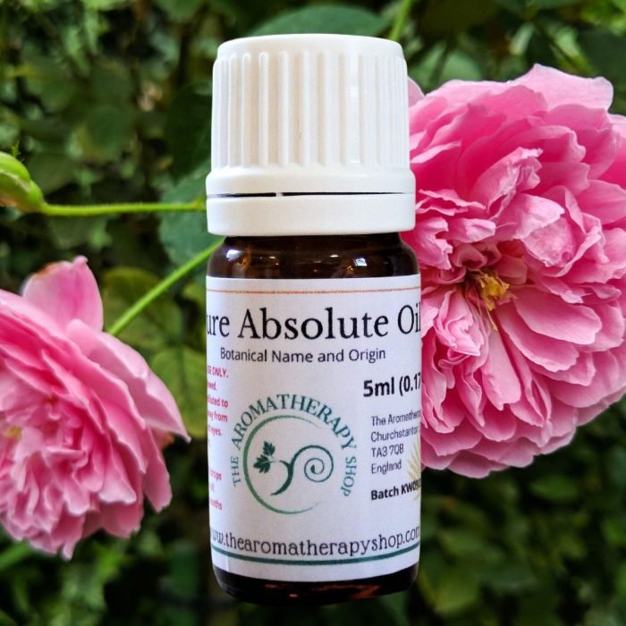 Rose Maroc Absolute Oil / Deeply Floral