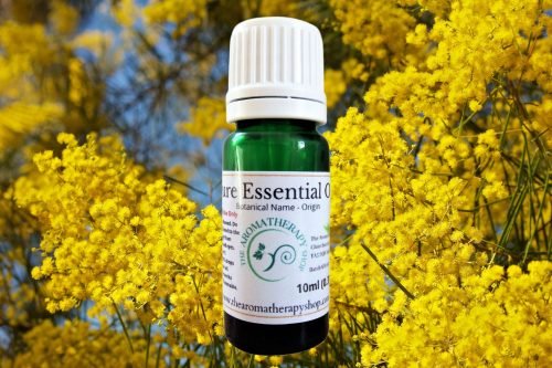 Mimosa Pure Essential Oil (Origin: Australia)