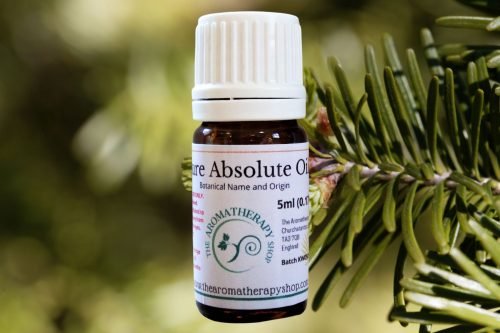 Fir Needle Absolute Oil (Origin: France)