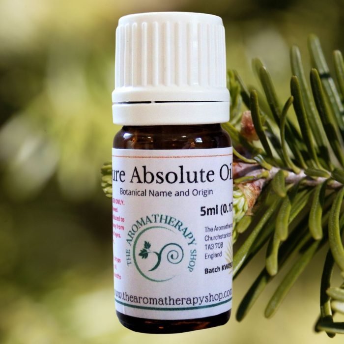 Fir Needle Absolute Oil (Origin: France)