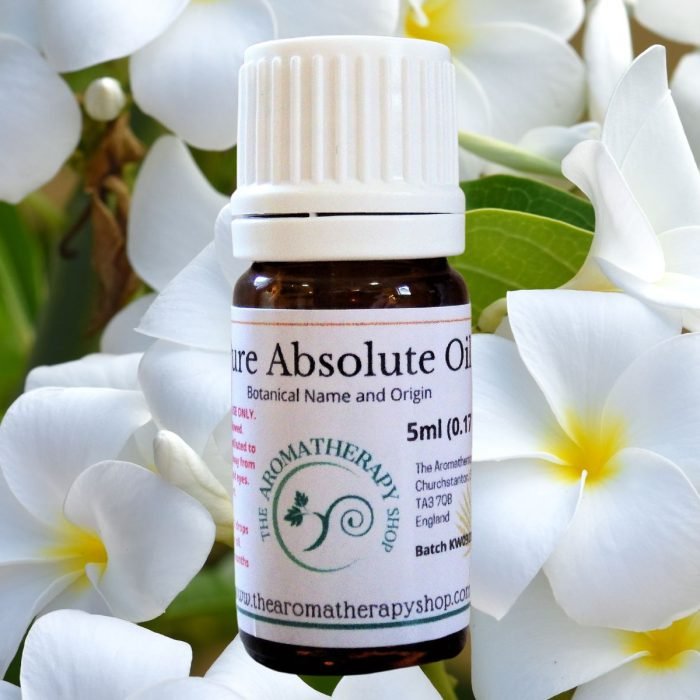 Frangipani Absolute Oil (Origin: Northern India)