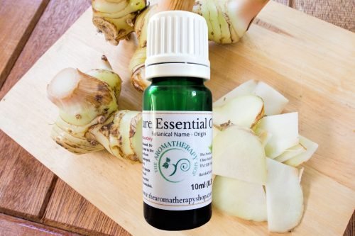 Galangal Pure Essential Oil (Origin: India)
