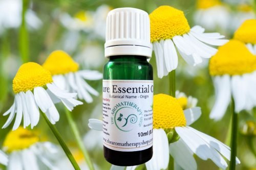 German Chamomile Pure Essential Oil / Organic (Origin: Nepal)