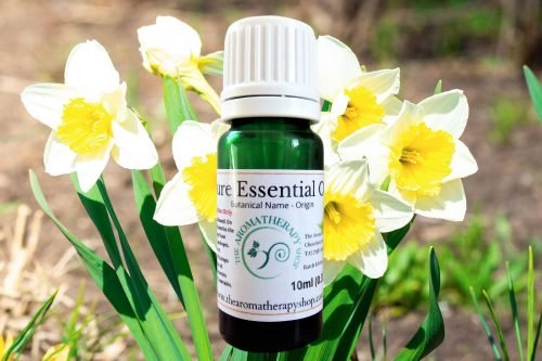 Narcissus Pure Essential Oil (Origin: France)