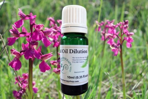 Orchid Extract Infusion (Origin: India)