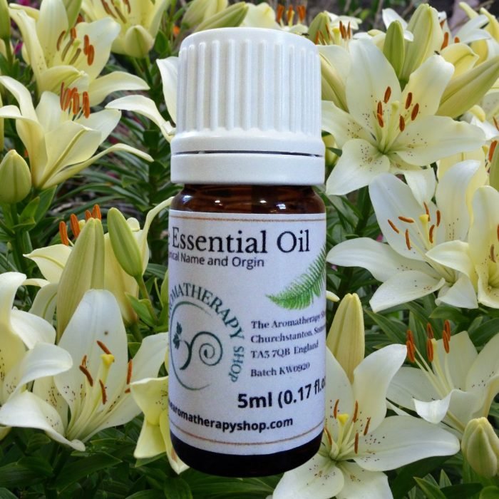 Turkish Lily Pure Essential Oil