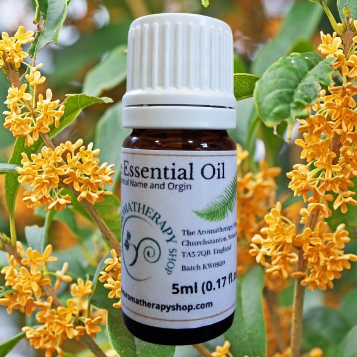 Osmanthus Pure Essential Oil (Origin: China)